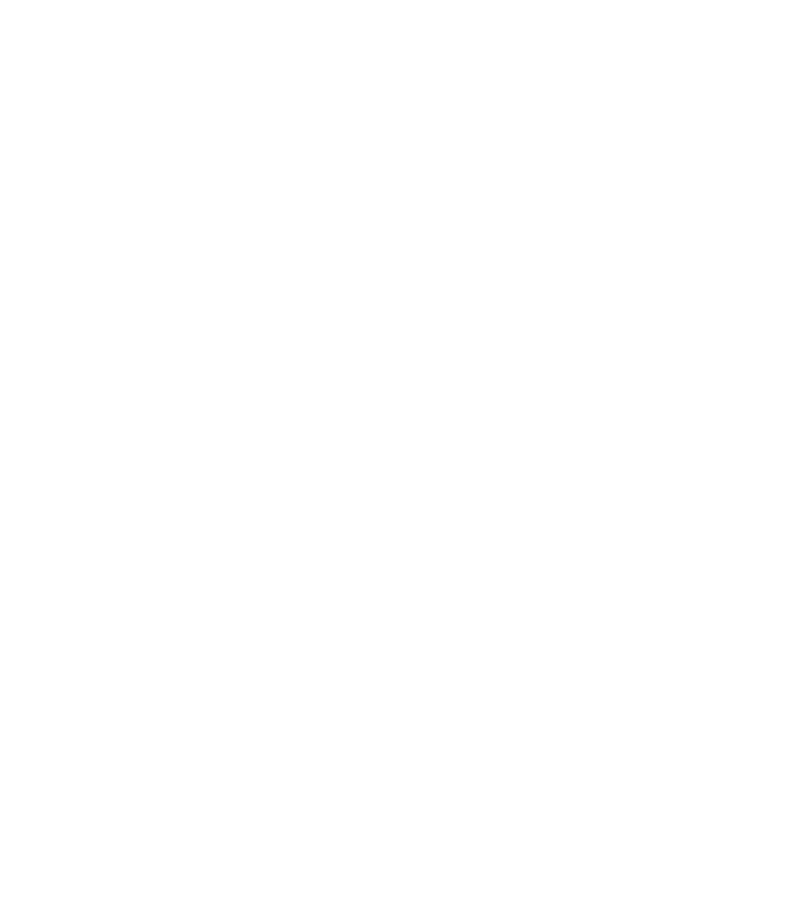 BEM FIA UI 2026 Palapa Mahameru
